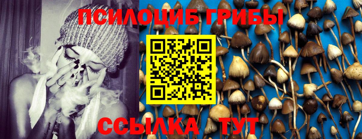 Галлюциногенные грибы мухоморы Тамбов