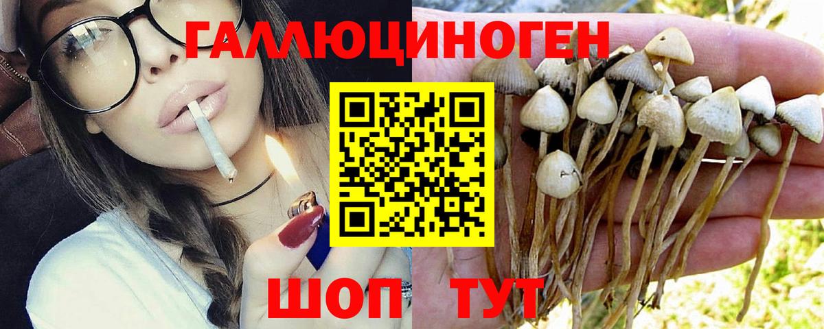 Псилоцибиновые грибы MAGIC MUSHROOMS  Вход с VPN  Галлюциногенные грибы MAGIC MUSHROOMS  Тамбов 