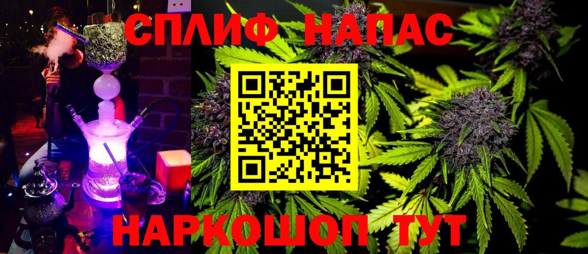 Шишки марихуана конопля  МАРИХУАНА планчик  Бошки Шишки THC 21%  Канабис THC 21%  Тамбов  Вход с VPN 